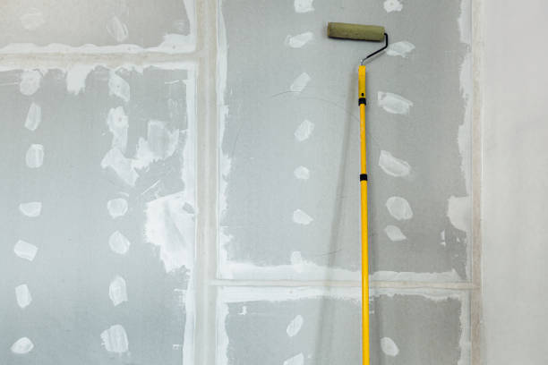 Best Drywall Patching  in Stanleytown, VA